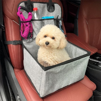 caniche dans siege auto chien avec poches remplies