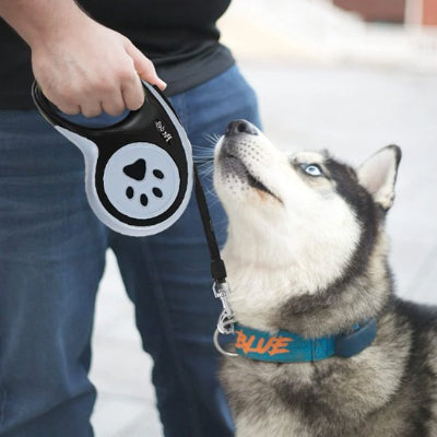 husky avec laisse pour chien enrouleur noir