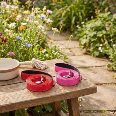 lot rouge et rose laisse pour chien