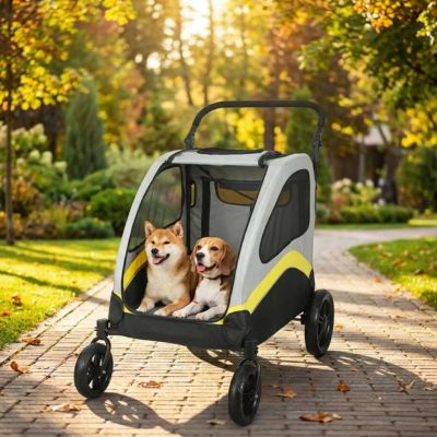 beagle et shiba inu ensemble dans poussette pour grand chien