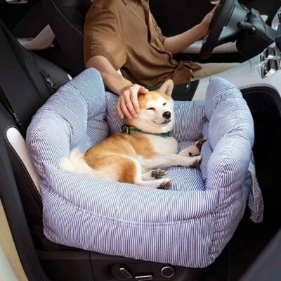 shiba inu détendu dans siege auto chiens rayé bleu