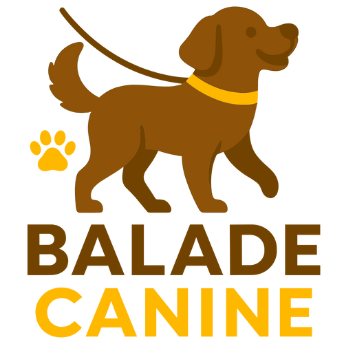 Balade Canine