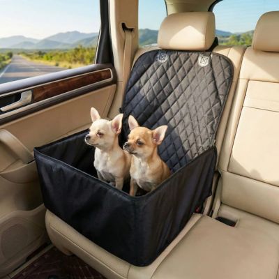 2 chiwawa assis dans siege auto pour chien