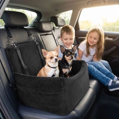 2 chiwawas installés dans siege auto chien
