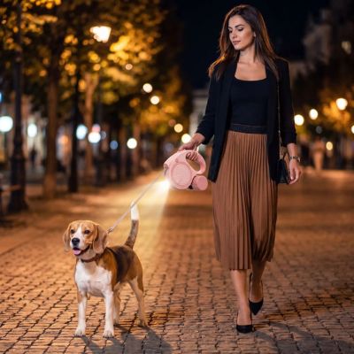 beagle avec laisse pour chien rétractable la nuit