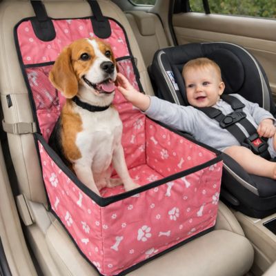 beagle dans siege auto chien