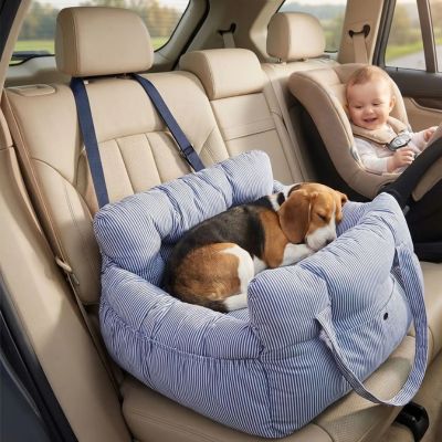 beagle dort dans siege auto chiens