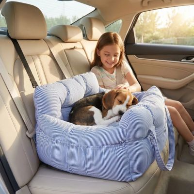 beagle paisible dans siege auto chiens