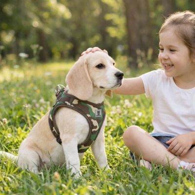 bébé beagle porte harnais pour chiot camouflage