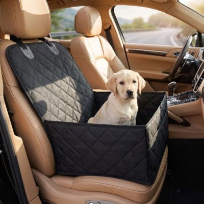 bébé labrador assis dans siege auto pour chien