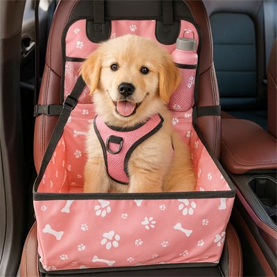 bébé labrador dans siege auto chien