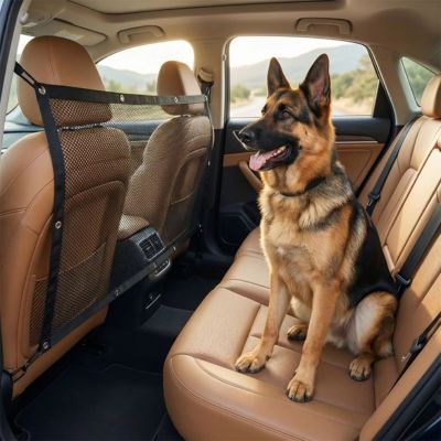 berger allemand avec filet protection chien voiture