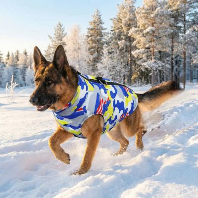 berger allemand court dans neige porte manteau pour grand chien