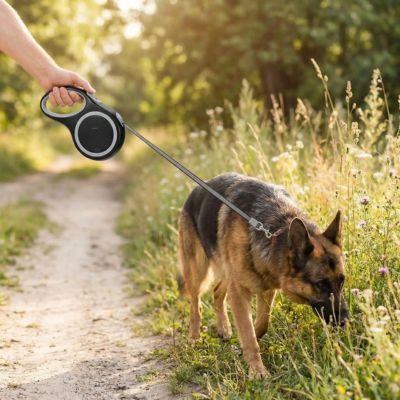 berger allemand en promenade avec laisse rétractable pour chien grise