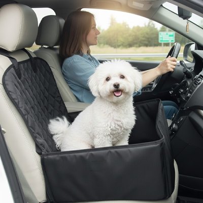 bichon assis dans siege auto pour chien