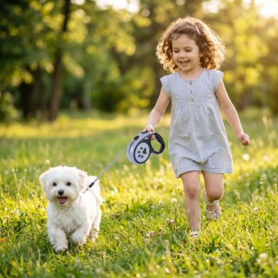 bichon avec laisse pour chien enrouleur noir