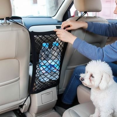bichon derrière filet protection chien voiture