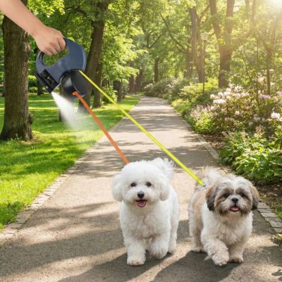 bichon et shih tzu avec double laisse pour chien rétractable