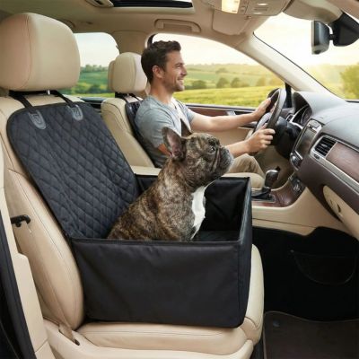 bouledogue assis dans siege auto pour chien