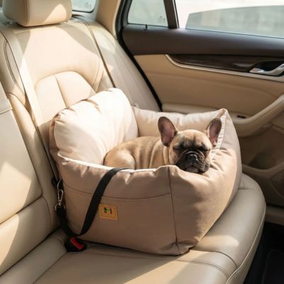 bouledogue dans siege auto chien brun