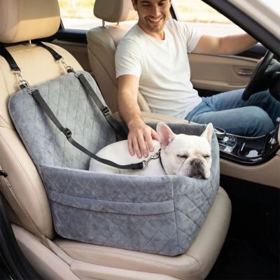 bouledogue dort paisiblement dans siege auto chien