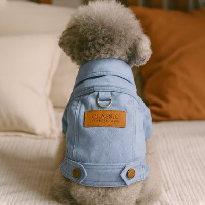 caniche assis porte manteau pour petit chien bleu