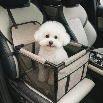 caniche blanc dans siege auto chien cafe