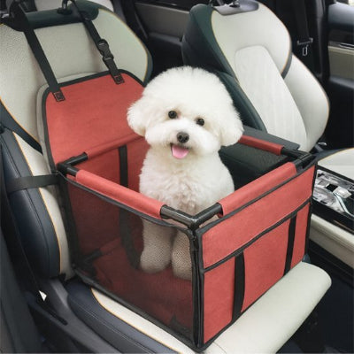 caniche blanc dans siege auto chien rouge