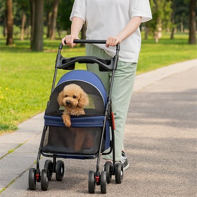caniche dans poussette pour chien bleu dans parc