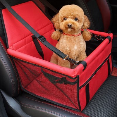 caniche dans siège auto chien rouge