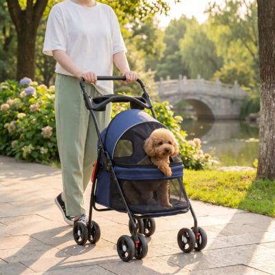 caniche heureux dans poussette pour chien