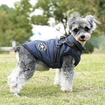 caniche porte manteau pour chien avec harnais intégré bleu