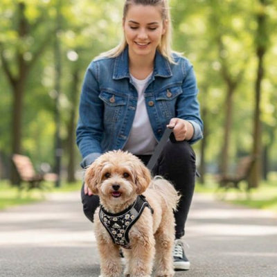 cavapoo porte harnais petit chien fleuri noir