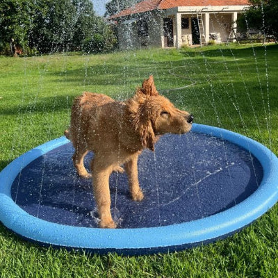 chien heureux dans piscine pour chien tapis d'eau