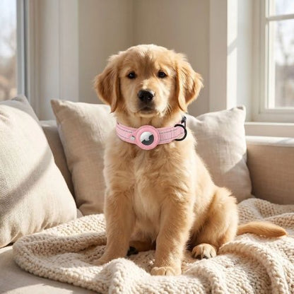 chiot labrador porte collier gps chien rose
