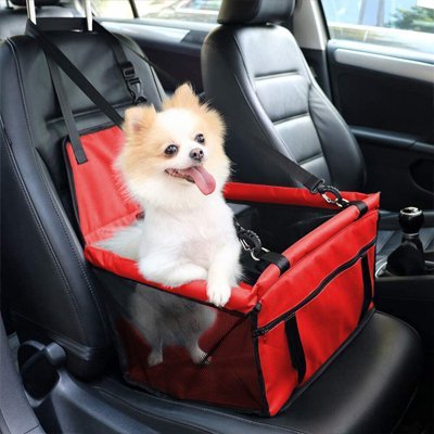 chiwawa dans siege auto chien rouge