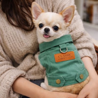 chiwawa porte manteau pour petit chien vert