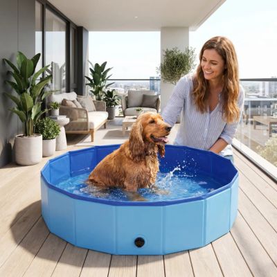 cocker heureux dans piscine pour chien