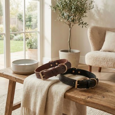 collier en cuir pour chien posés sur table