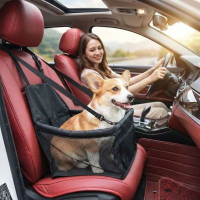 corgi heureux assis dans siège auto chien noir