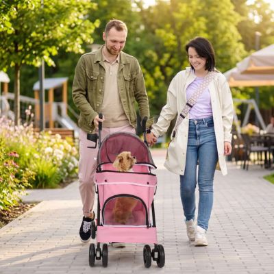 couple en balade avec poussette pour chien