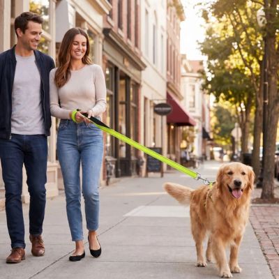 couple promène golden avec laisse pour chien