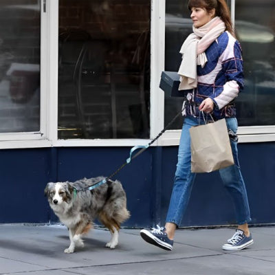 dame porte ses sacs grace a laisse chien canicross