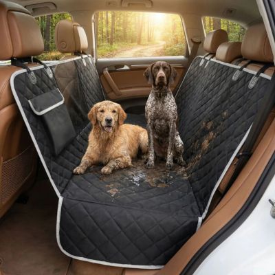 deux chiens mouillés sur protection voiture chien intégrale