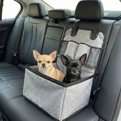 deux chiwawa dans siege auto chien