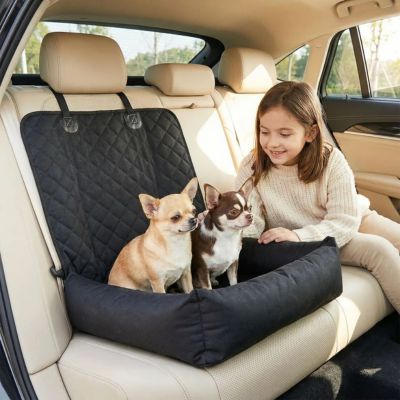 deux chiwawas assis dans protection siege auto chien