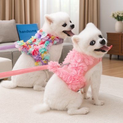 deux loulous portent harnais petit chien pétales