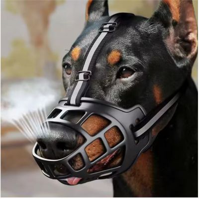 dobermann avec muselière chien silicone