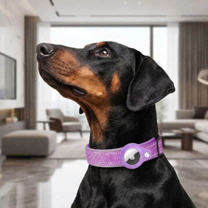 dobermann fier porte collier gps chien