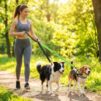 double laisse pour chien vert et noir